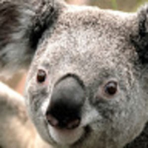 Meet your Posher, Mo